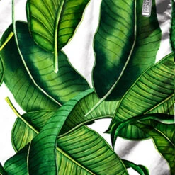 Banana Leaves Print Mid-length Swim Shorts -The Bikini Collective banana leaves01 4