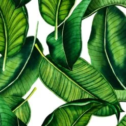 Boy Swim Shorts With Banana Leaves Print -The Bikini Collective bnle01 3