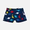 Multicolor Dinosaurs Boy's Lycra Swim Briefs -The Bikini Collective boy swim briefs dinosaurs 01