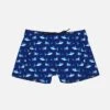 Boy Lycra Swim Shorts With Sharks Print -The Bikini Collective boy swimshorts animal 1 d95806dc 28d4 4963 baf7 909cbd7f6ea4