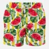 Mid-length Swim Shorts With Watermelon Print