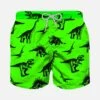 Boy Swim Briefs With Dinosaurs Print