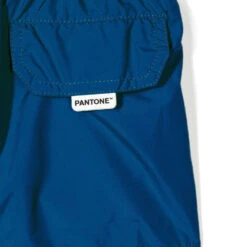 Boy Navy Blue Swim Shorts | PANTONE™ SPECIAL EDITION -The Bikini Collective dettaglio pantone blu